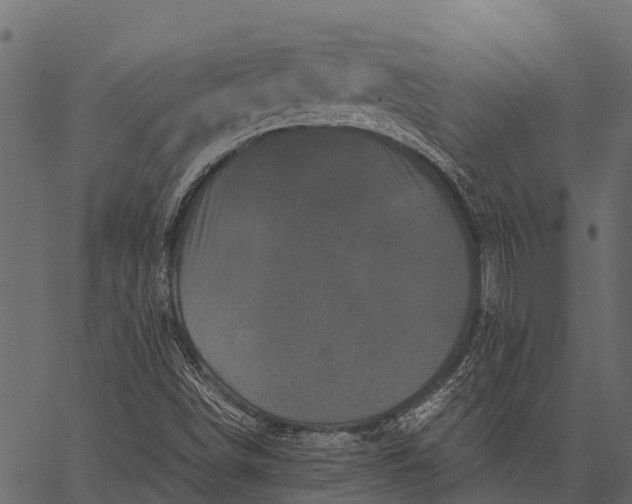 X0000062631498200601111046