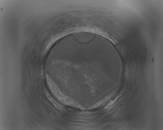 X0000062631499200601111046