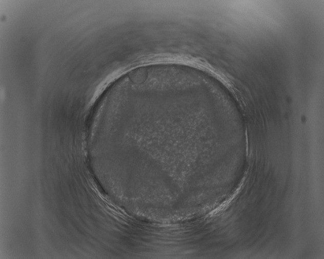 X0000062631501200601111046