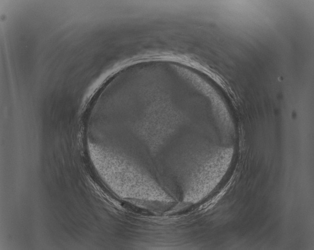 X0000062631502200601111046