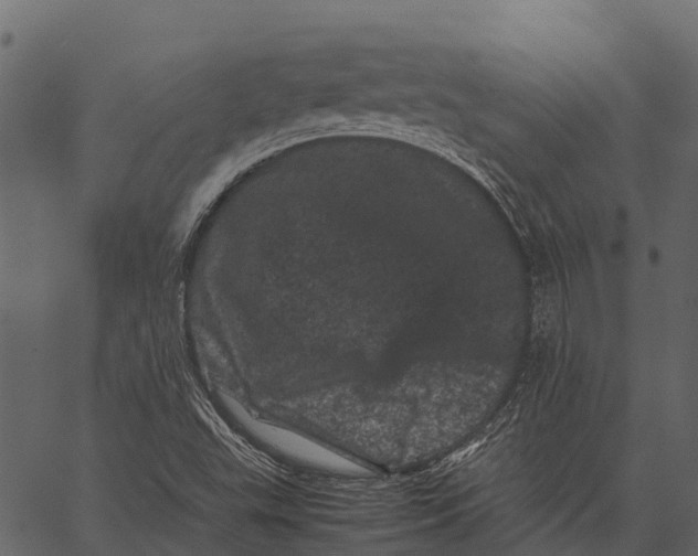 X0000062631503200601111046