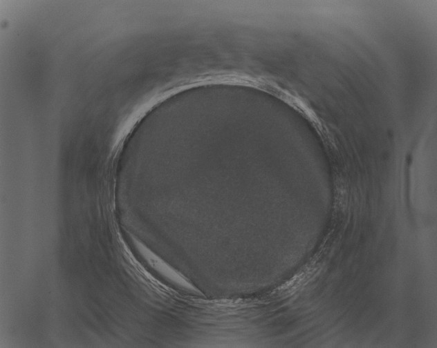 X0000062631504200601111046