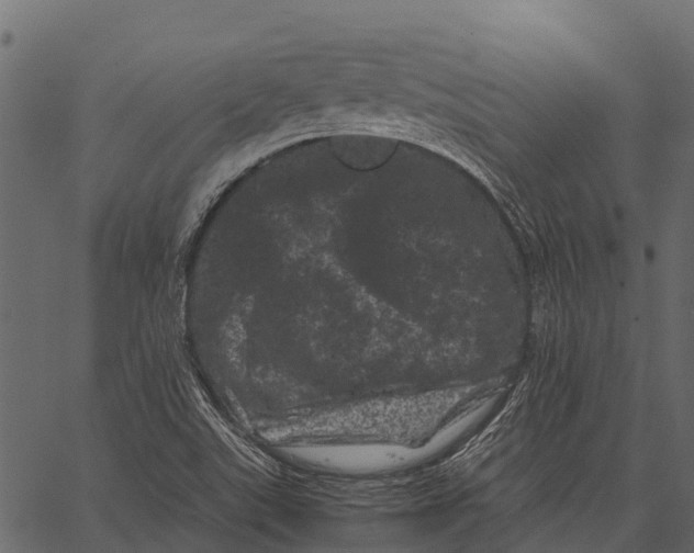 X0000062631507200601111046