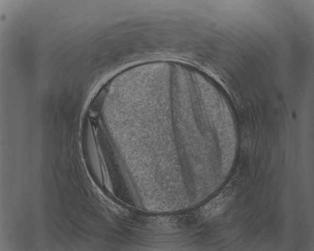 X0000062631508200601111046