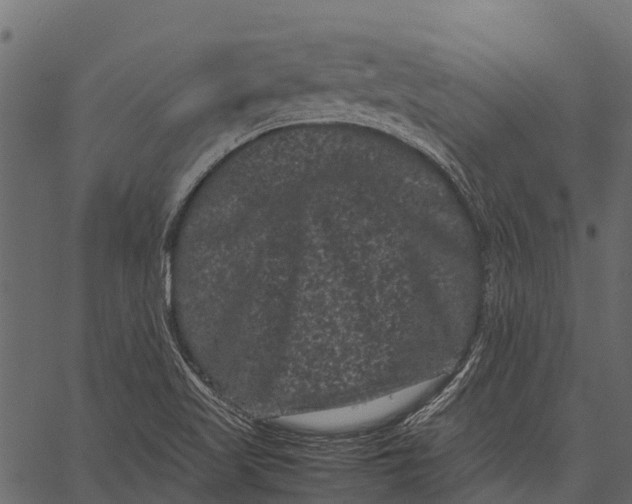 X0000062631509200601111046