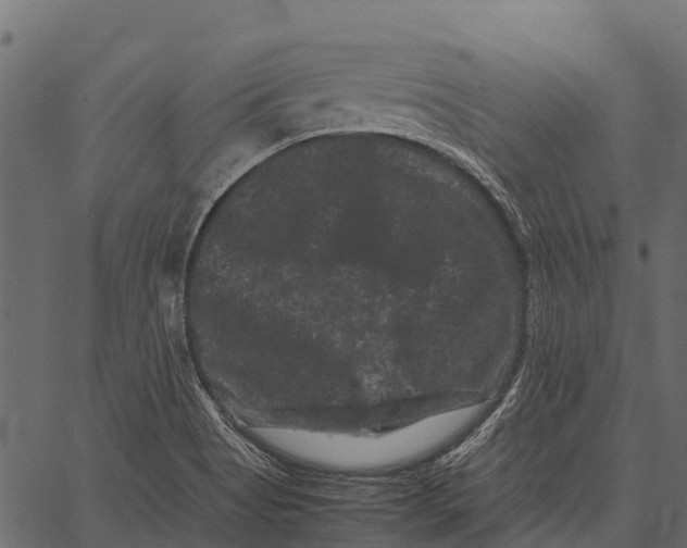 X0000062631513200601111047