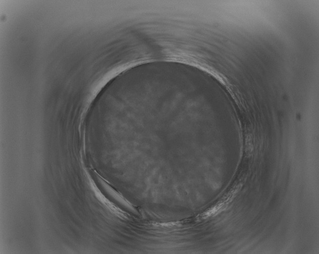 X0000062631515200601111047