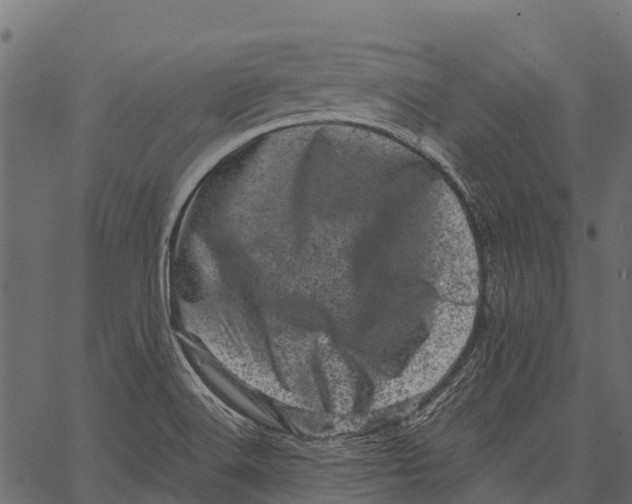 X0000062631516200601111047