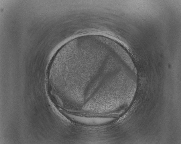 X0000062631518200601111047