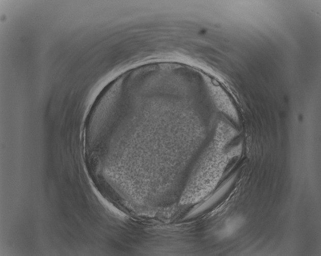 X0000062631519200601111047