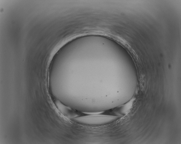 X0000062631520200601111047