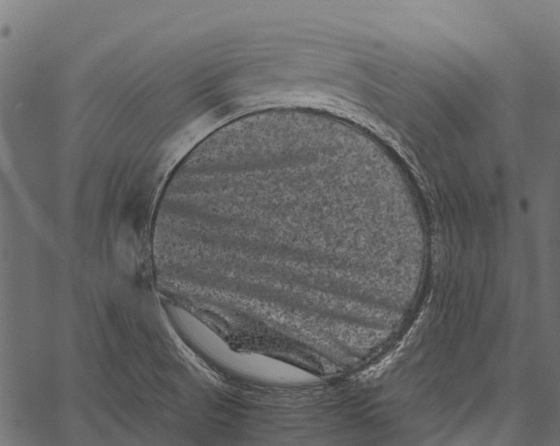 X0000062631521200601111047