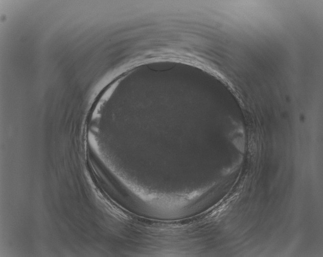 X0000062631522200601111047