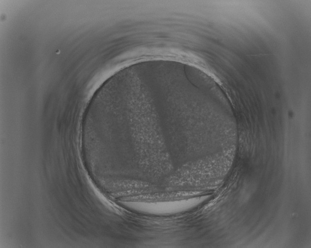 X0000062631523200601111047