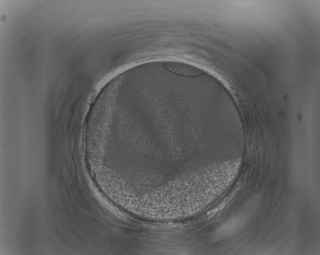 X0000062631526200601111047