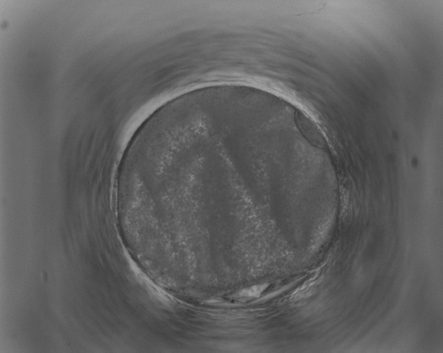 X0000062631527200601111047