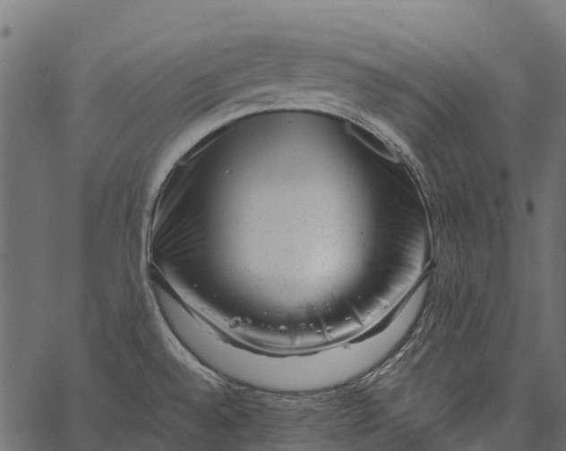 X0000062631528200601111047