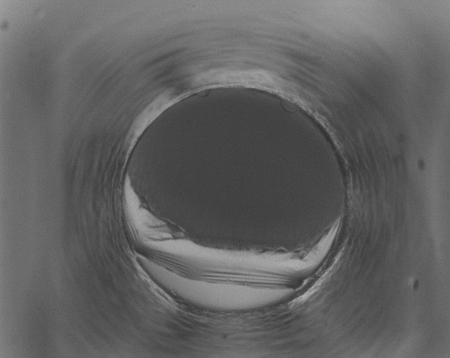 X0000062631529200601111047