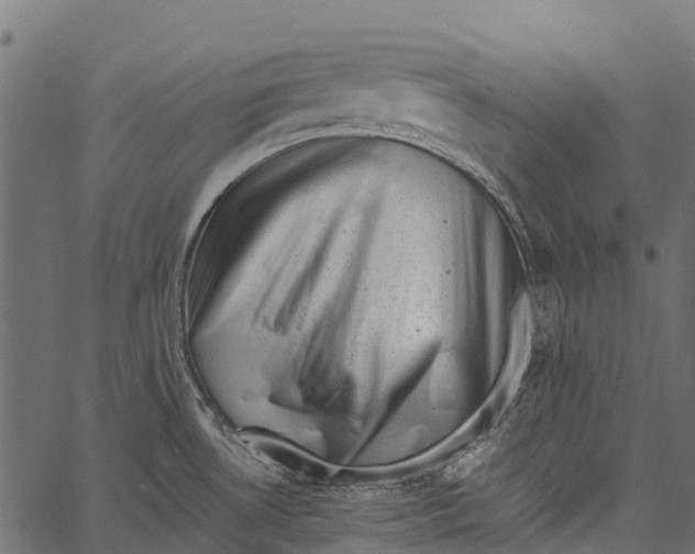 X0000062631530200601111047