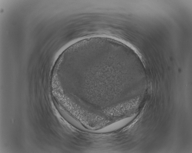 X0000062631534200601111047