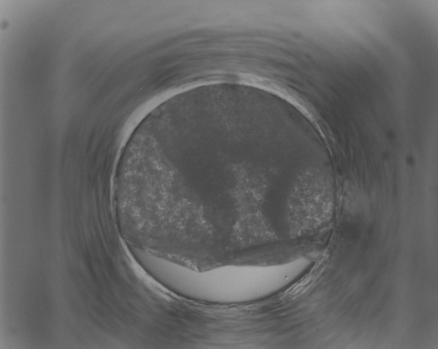 X0000062631535200601111047