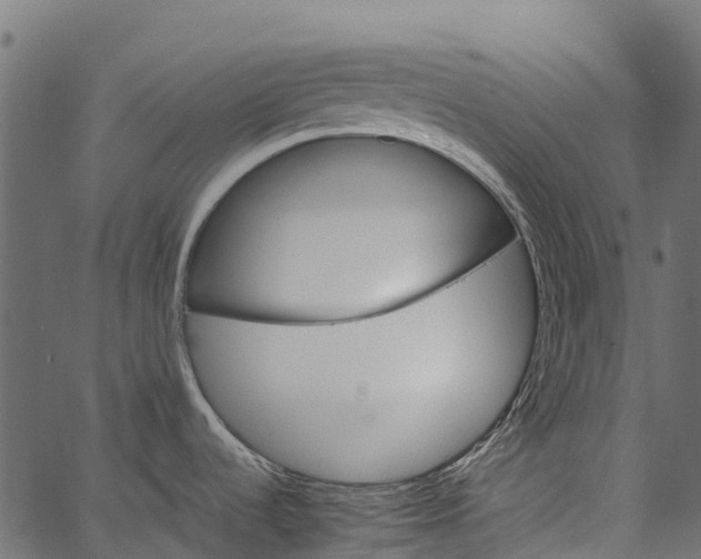 X0000062631536200601111047