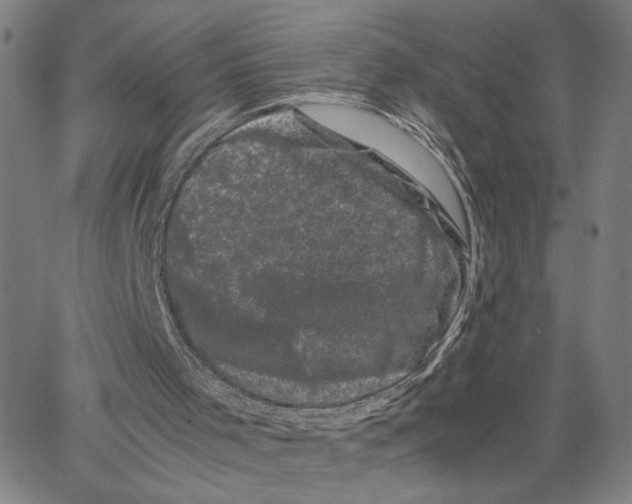 X0000062630001200601181731