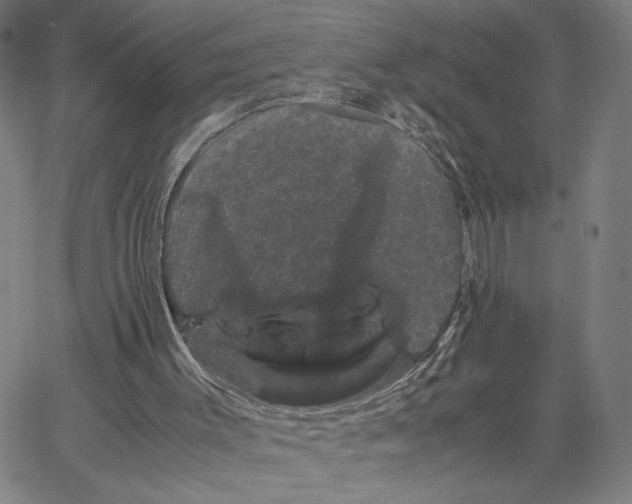 X0000062630003200601181731