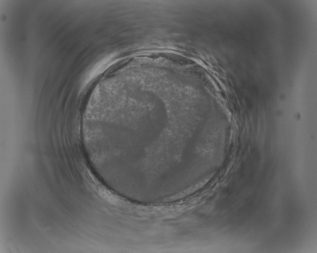 X0000062630005200601181731