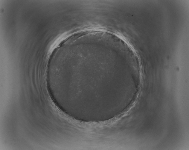 X0000062630007200601181731