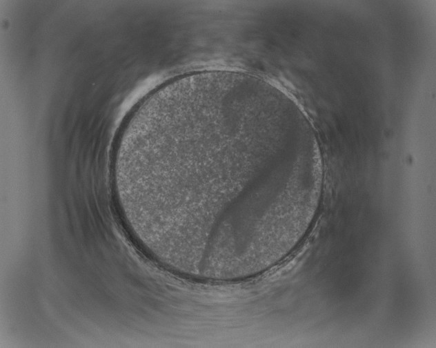 X0000062630008200601181731