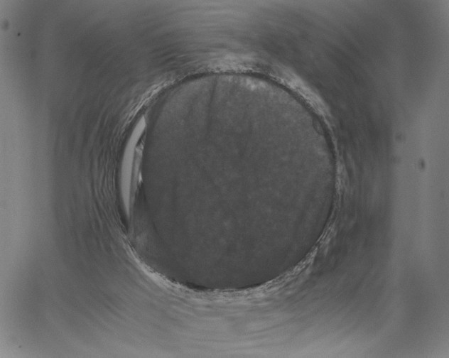 X0000062630009200601181731