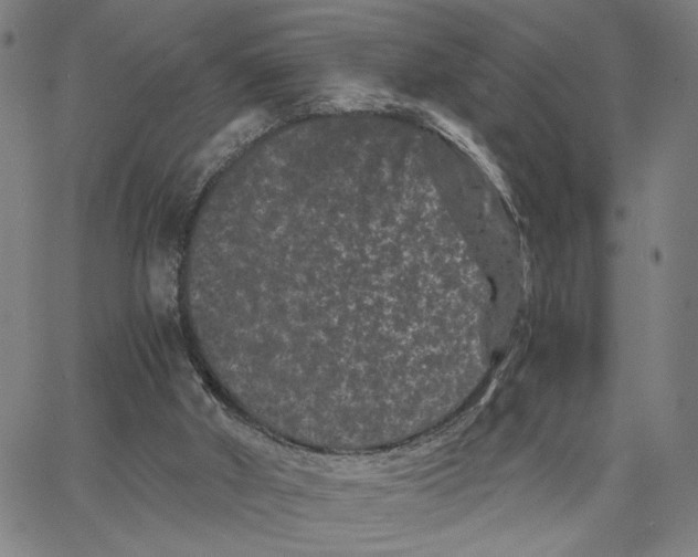 X0000062630010200601181731