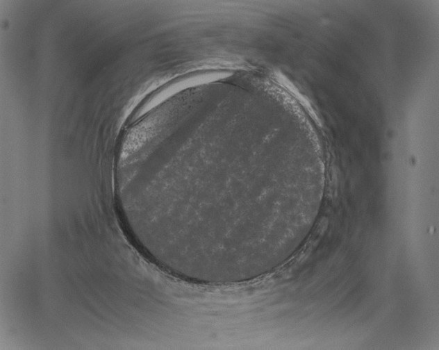 X0000062630011200601181731