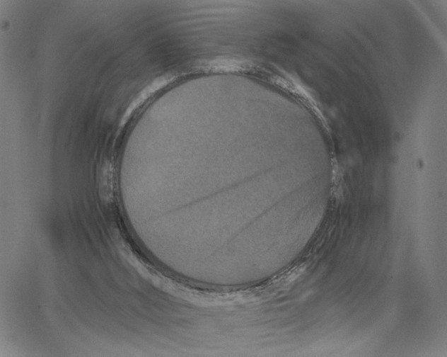 X0000062630012200601181731