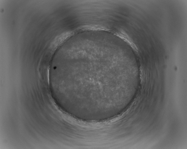 X0000062630014200601181731