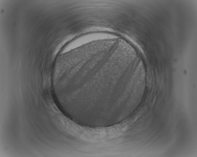 X0000062630015200601181731