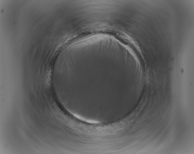 X0000062630018200601181731