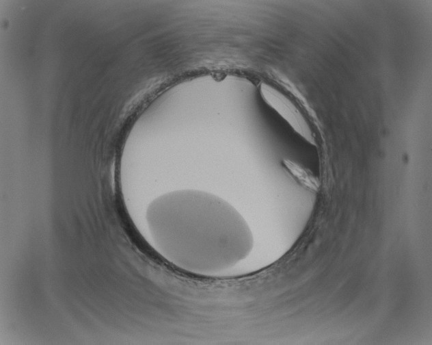 X0000062630019200601181731