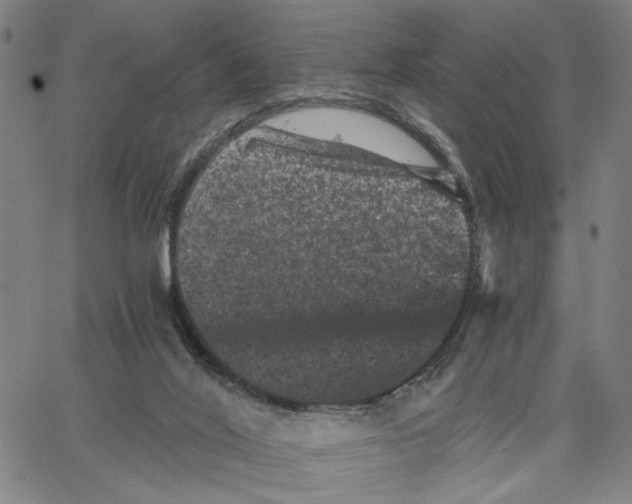 X0000062630020200601181731