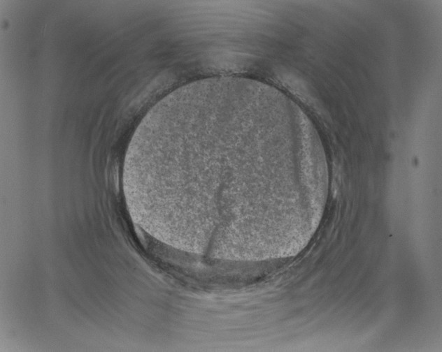 X0000062630021200601181731