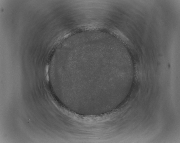 X0000062630022200601181731