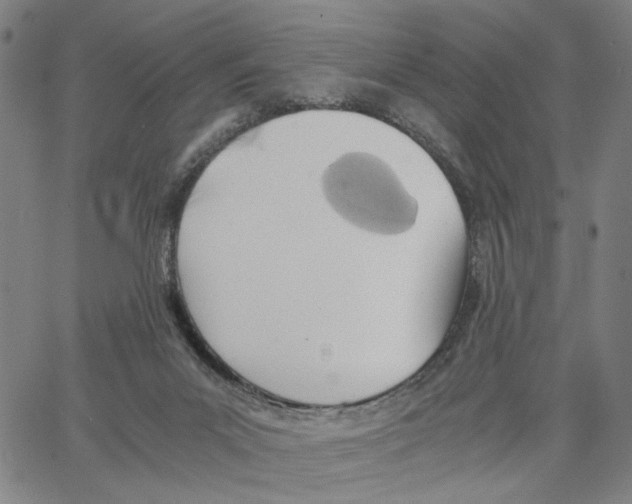 X0000062630023200601181731