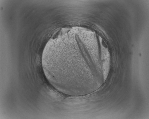 X0000062630025200601181731