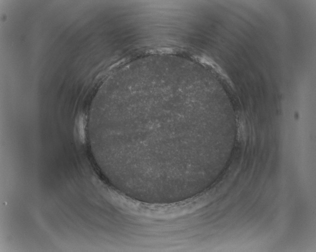 X0000062630026200601181731