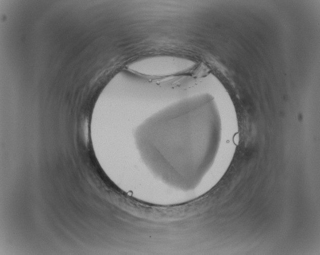 X0000062630027200601181731