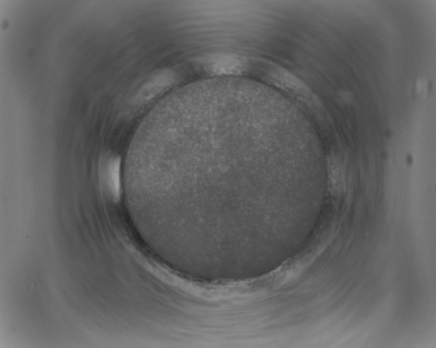 X0000062630028200601181731