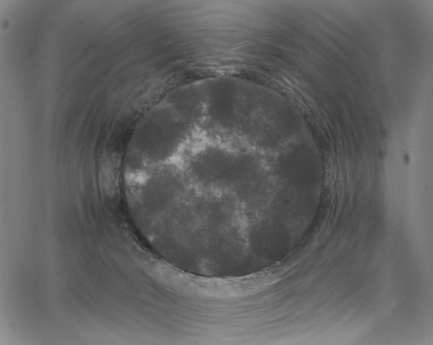 X0000062630030200601181731