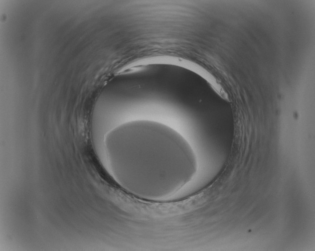 X0000062630031200601181731