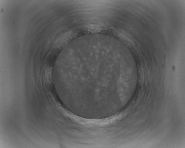 X0000062630034200601181731